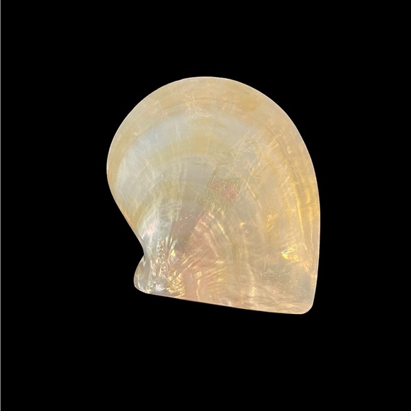 🎁 Handmade Mother Of Pearl Caviar Serving Set - Picture 9 of 10